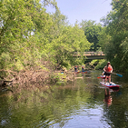 photo of paddleboard on creek